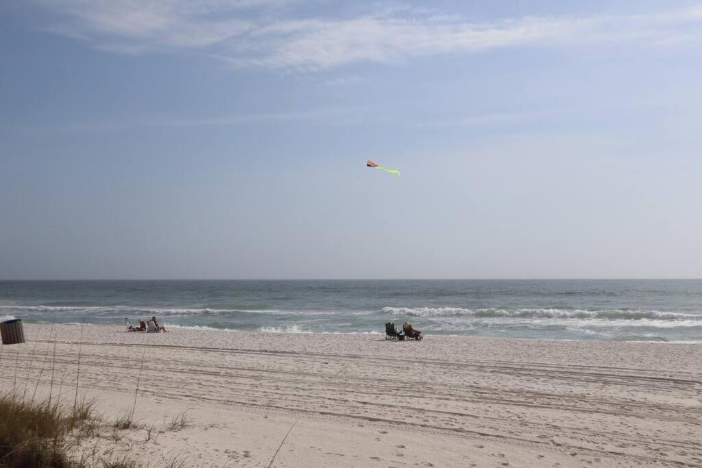 Apartment Lazy Palm 4 Pools Short Walk To Beach! Sleeps 5! *